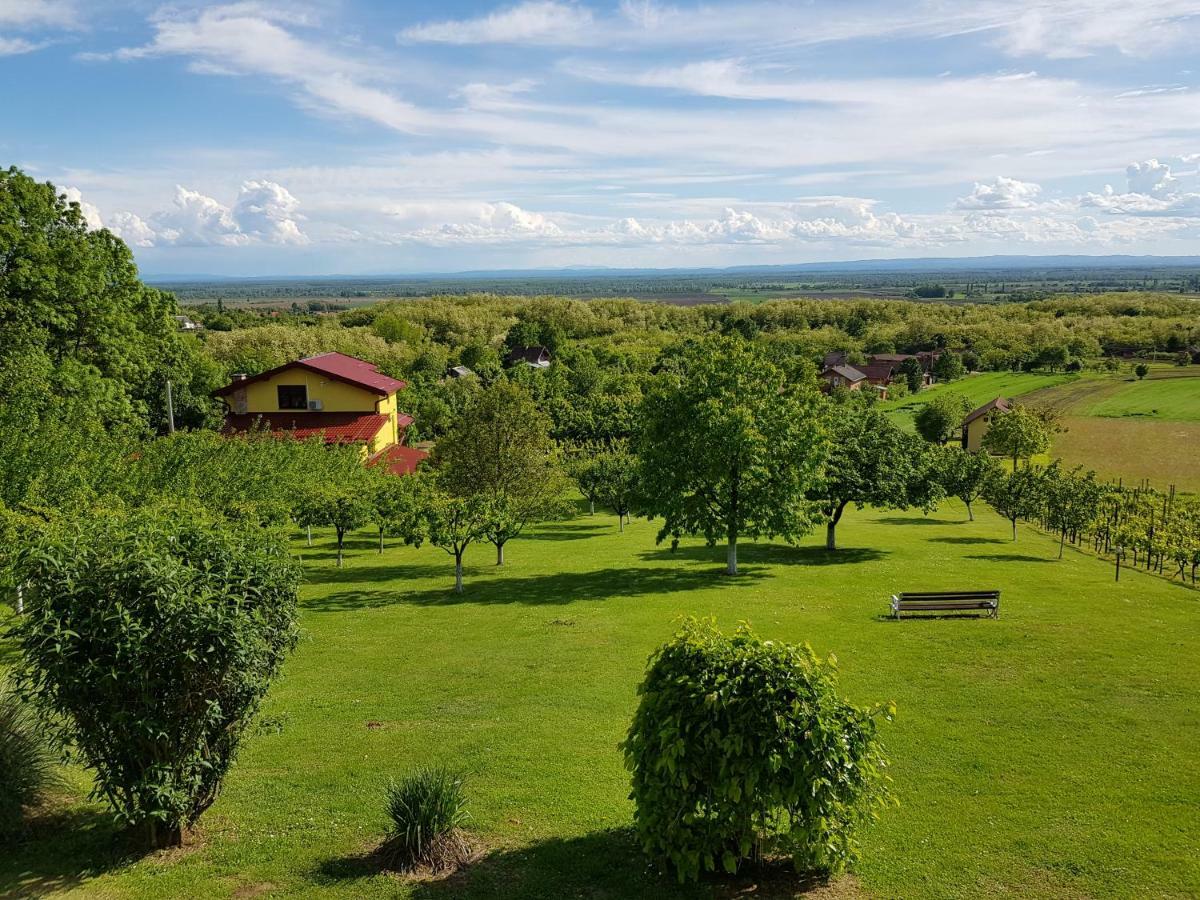 Guest House Blažević Gornja Gracenica Extérieur photo